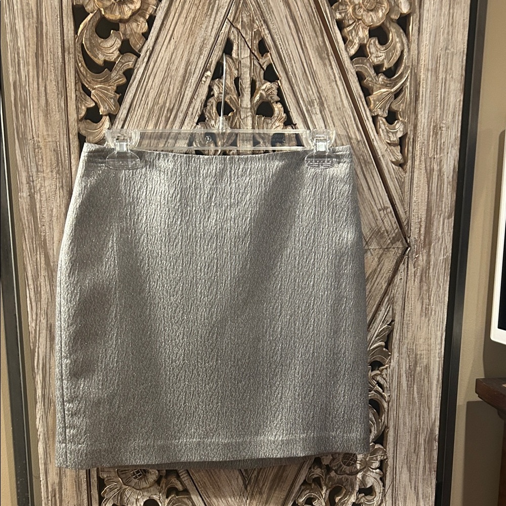 Ann Taylor Shimmering Silver Pencil Skirt